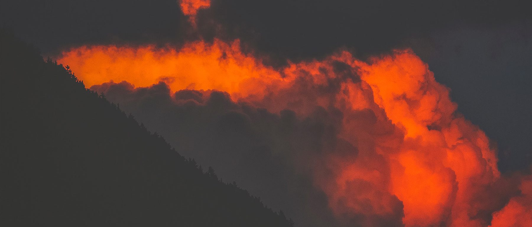 Portfolio svg+xml;charset=utf