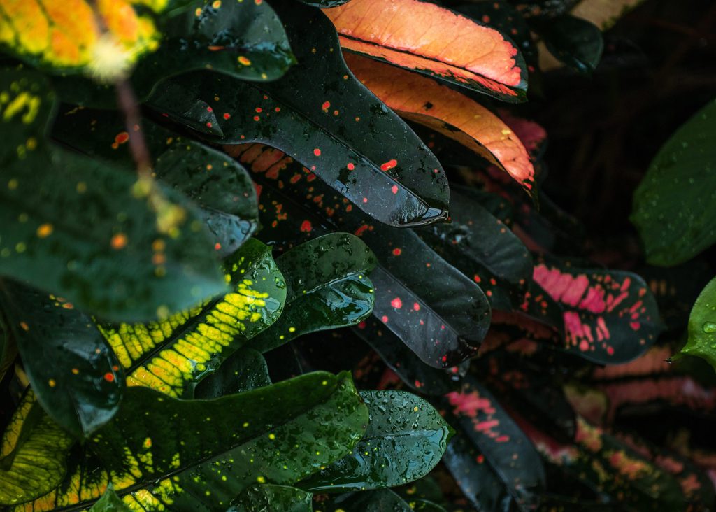 joshua-fuller-TPtOlSRD7hc-unsplash joshua fuller TPtOlSRD7hc unsplash