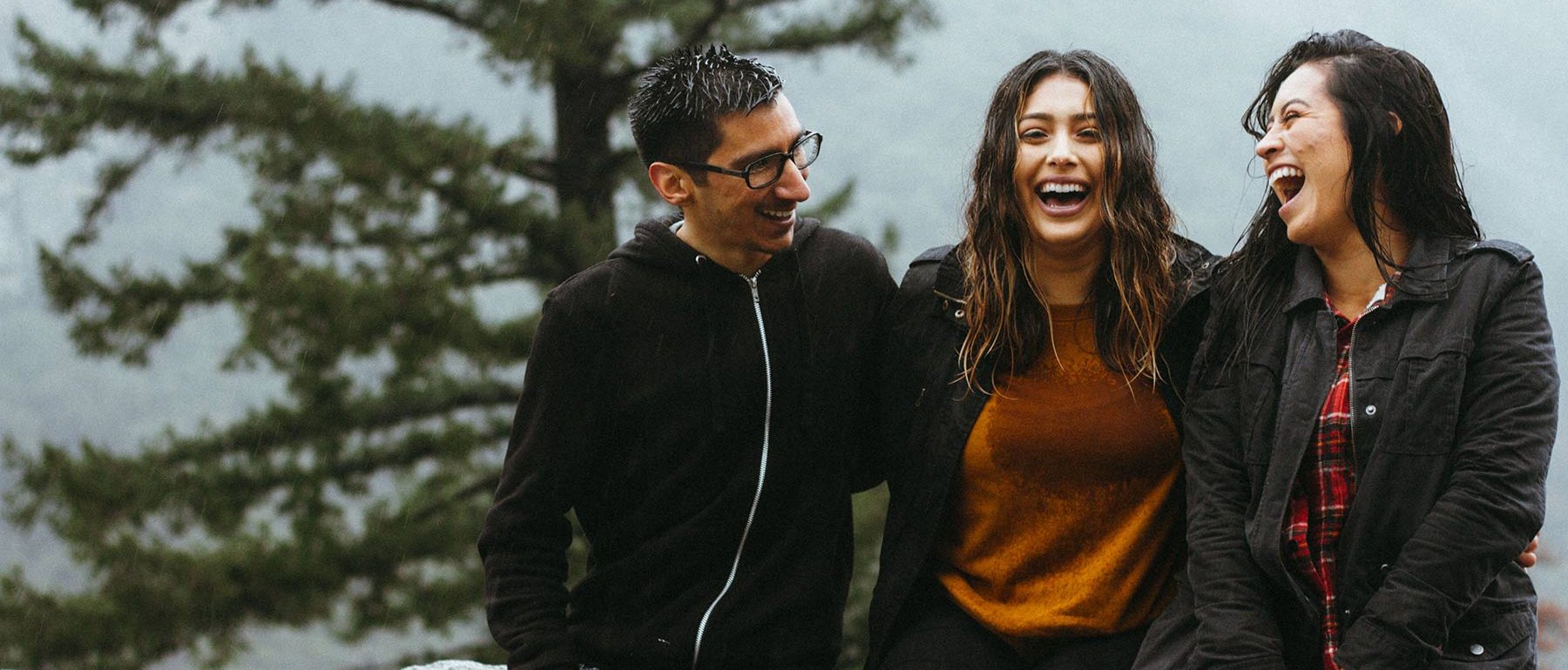 Portfolio svg+xml;charset=utf